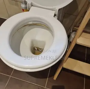 Toilet/Wc Cleaning Service 💯