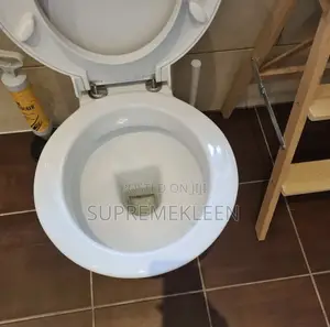 Toilet/Wc Cleaning Service 💯