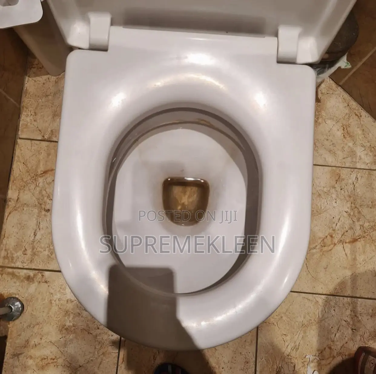 Toilet/Wc Cleaning Service 💯