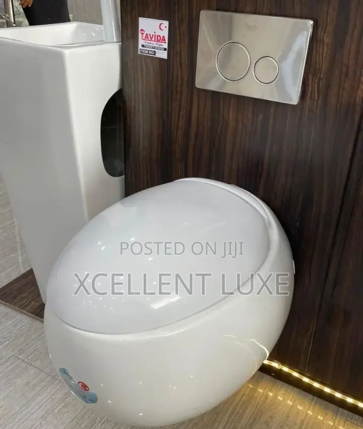 Egg Shaped Conceal Wc