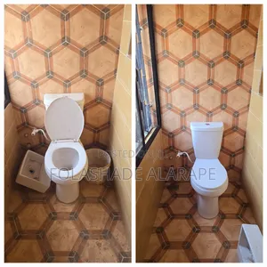 Professional Cleaning