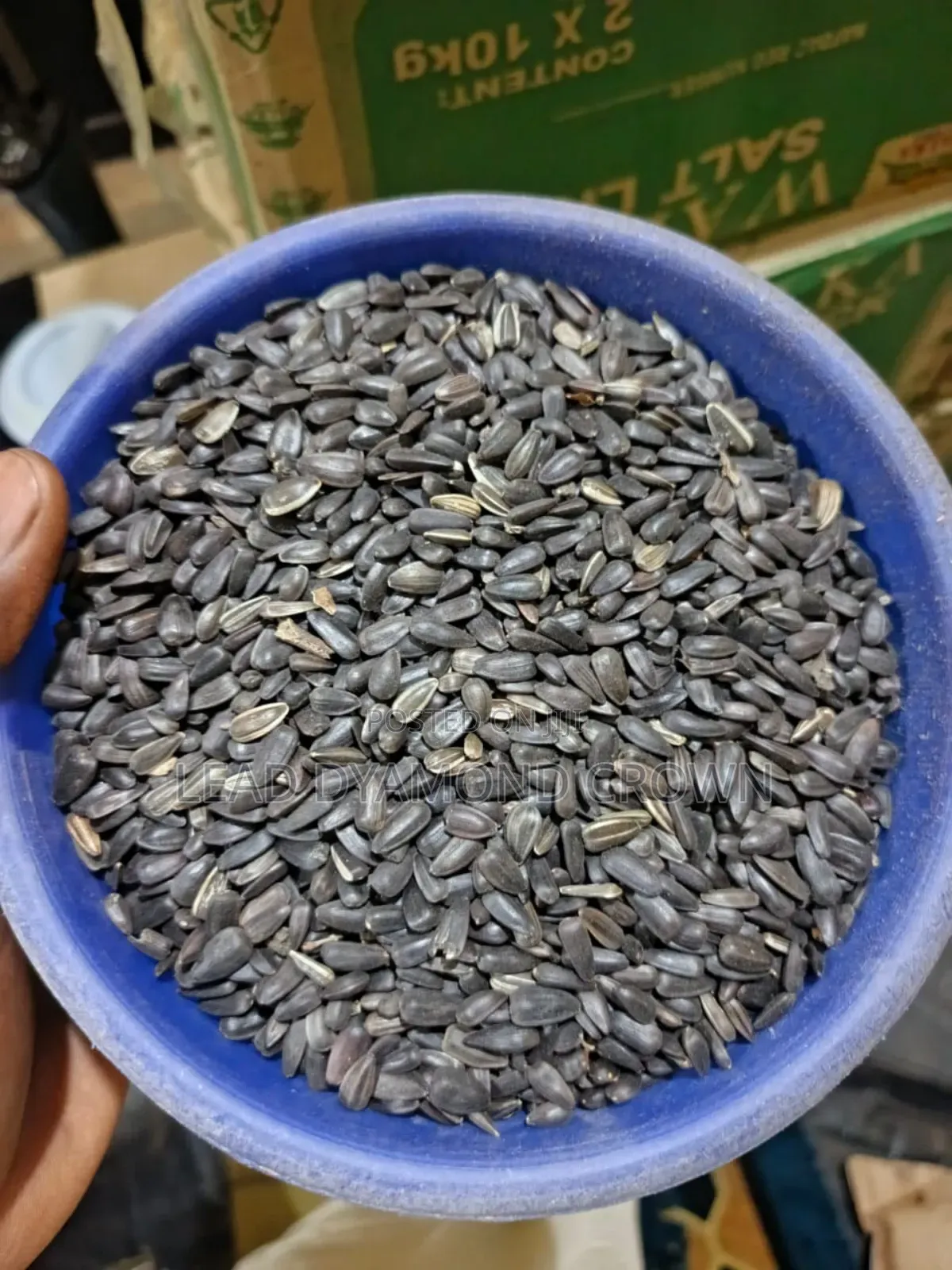 Sunflower Seeds
