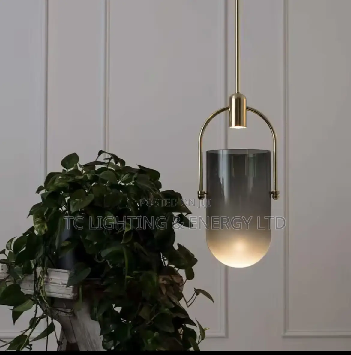 Led Drop Light