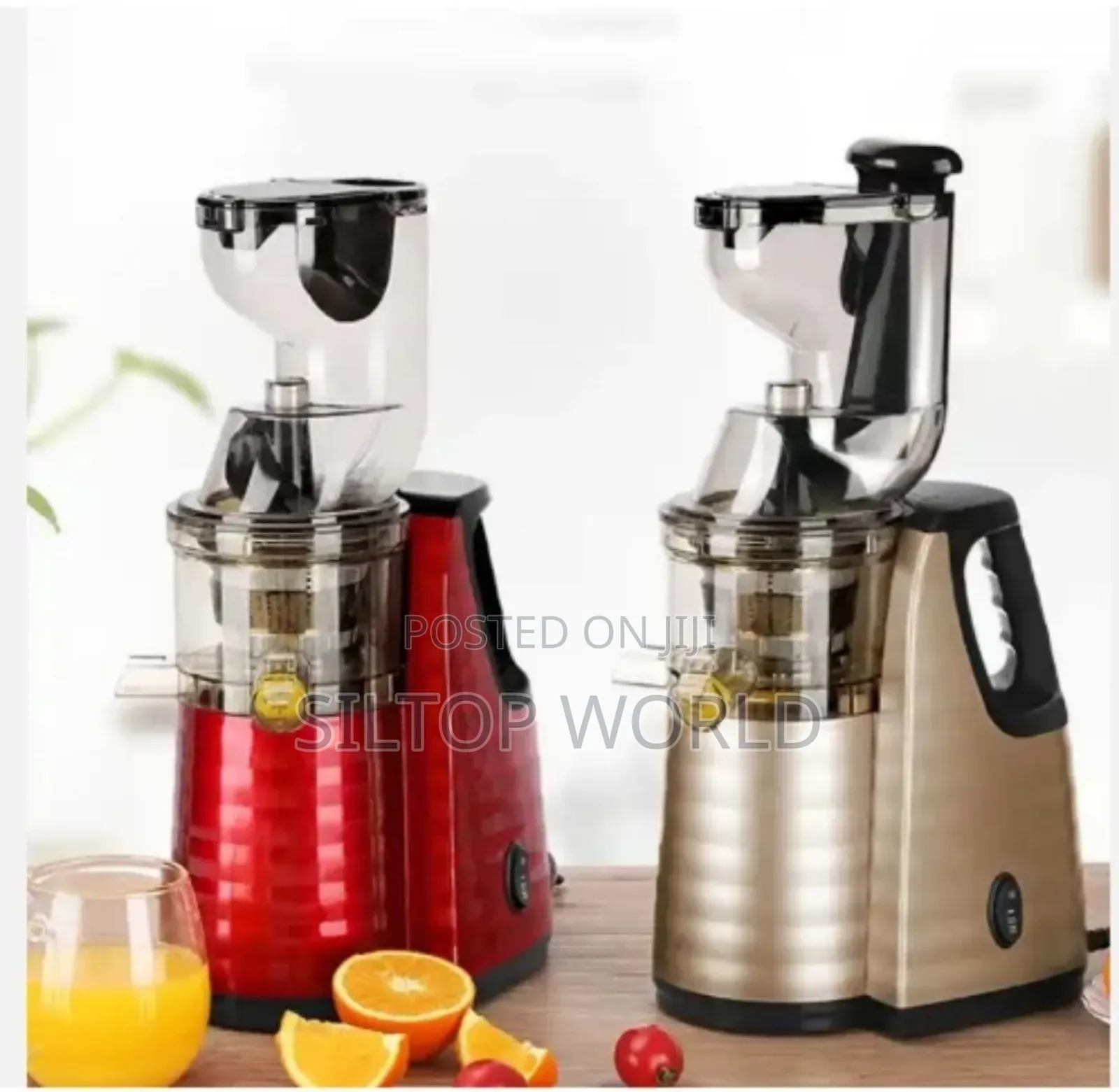 Raf Slow Juicer