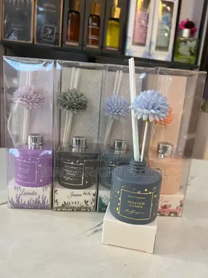 Winter Star Aroma Diffuser