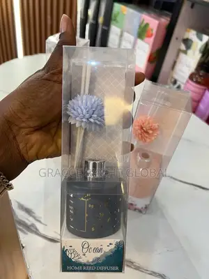 Winter Star Aroma Diffuser