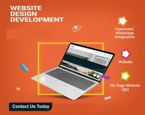 Professional Website