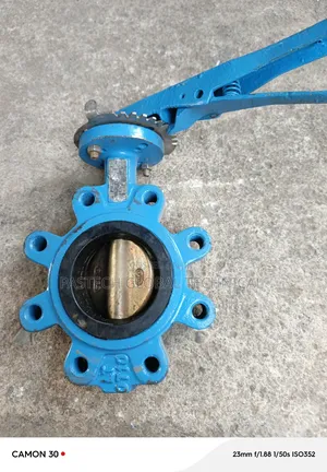 3" Lugged Type Butterfly Valve
