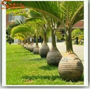 We Sell and Plant Live Flowers