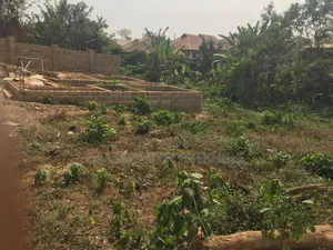 A Plot Land For Sale At Ajongolo/ Harmony Akobo Netpric