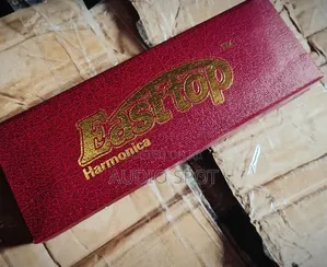 EASTOP 24 Holes Double Sided Harmonica Tremolo Diatonic C/G