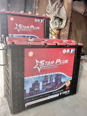 Weak and Dead Inverter Battery Buyer