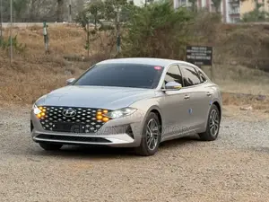 Photo - Hyundai Grandeur 2021 Gray