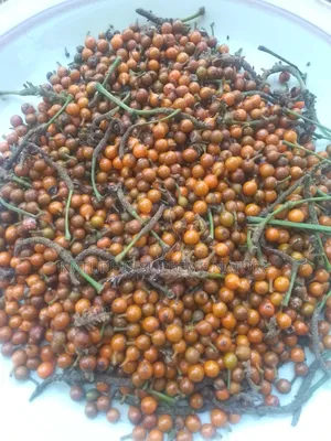 Herbs for Hepatitis
