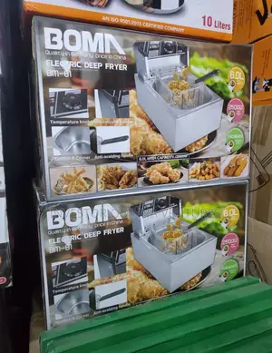 Single Electric Deep Fryer