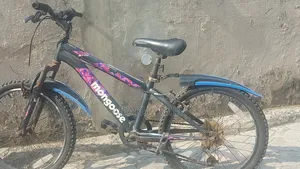 Children Bicycle 20 Inches (7-12yrs)