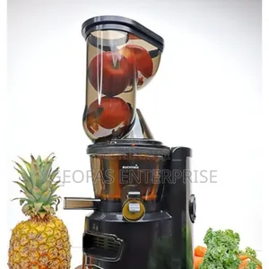 Buchymix Premium Masticating Cold-Press Juicer (High-Torque)