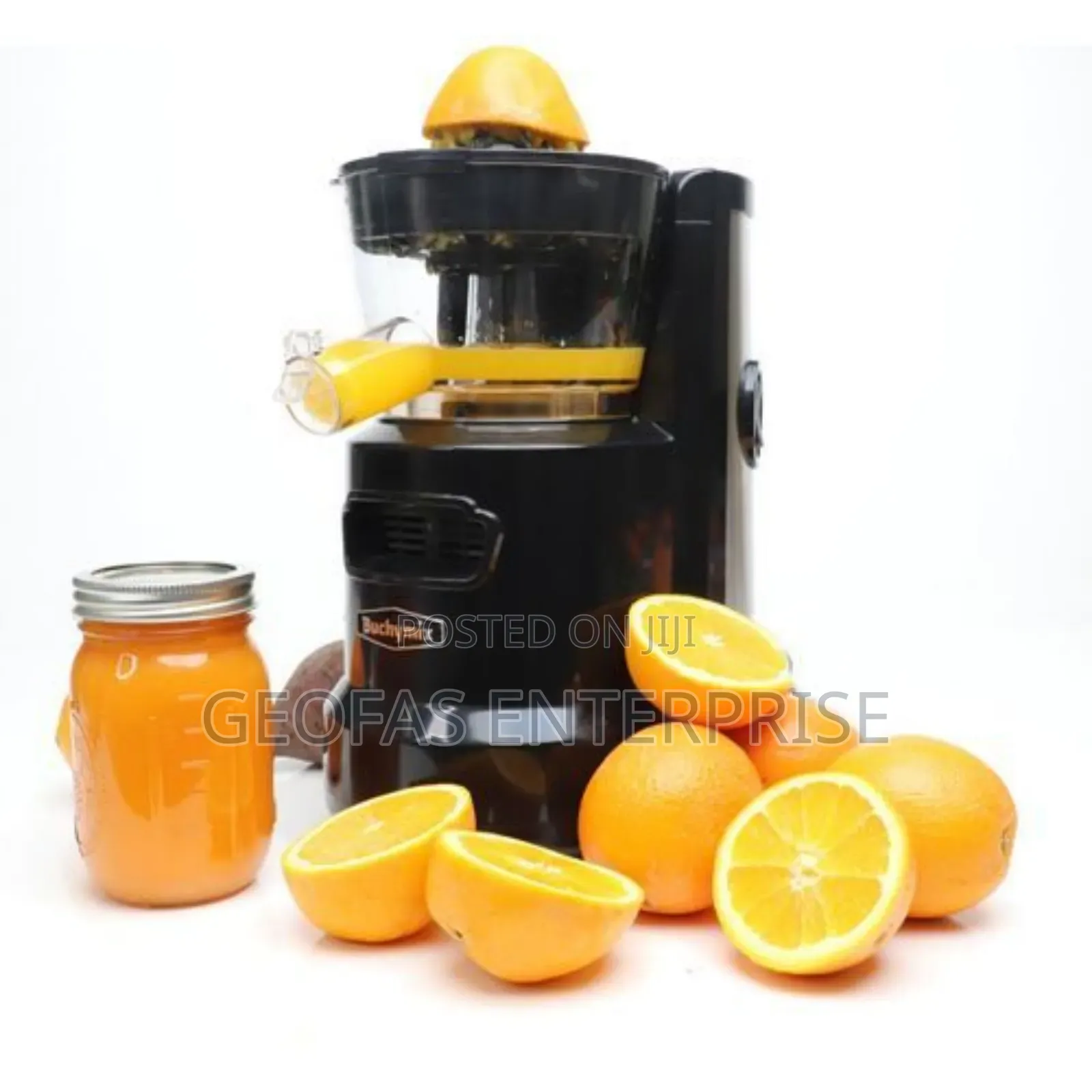 Buchymix Premium Masticating Cold-Press Juicer (High-Torque)