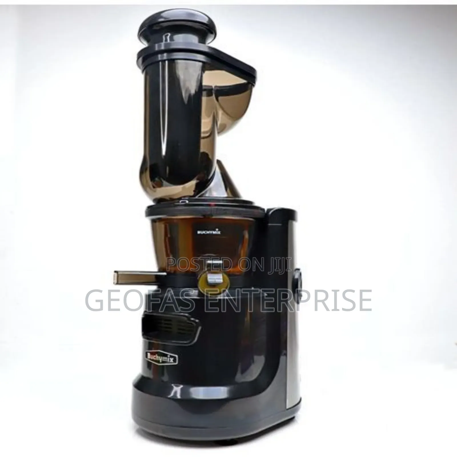 Buchymix Premium Masticating Cold-Press Juicer (High-Torque)
