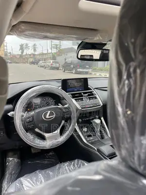 Lexus NX 300 AWD 2020 Red