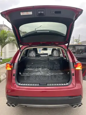 Lexus NX 300 AWD 2020 Red