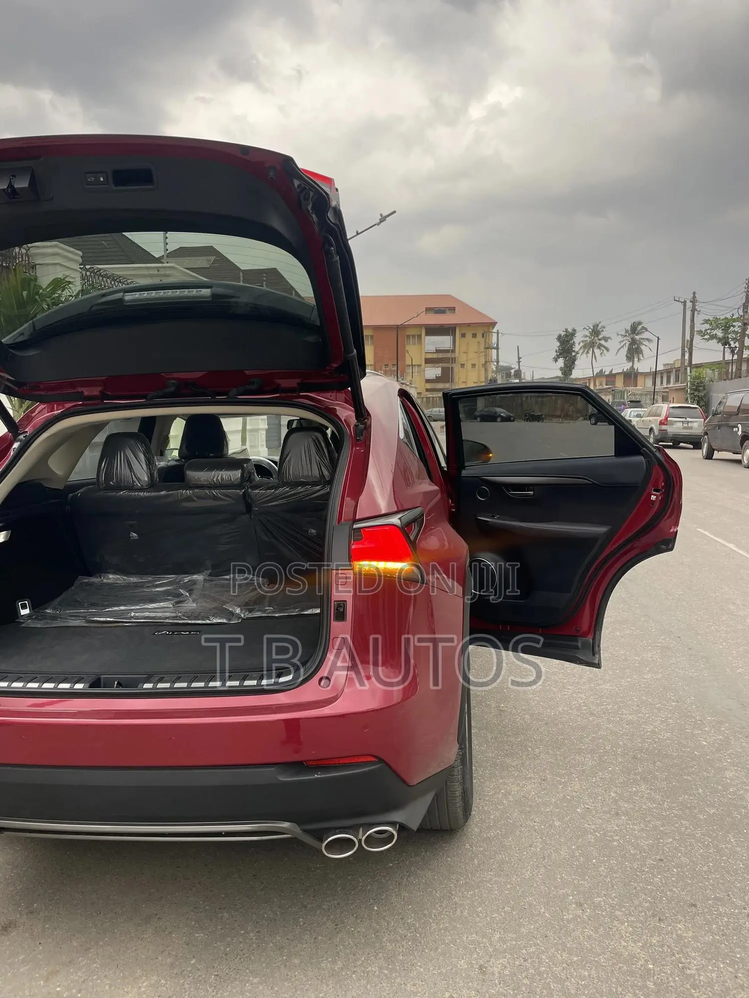 Lexus NX 300 AWD 2020 Red