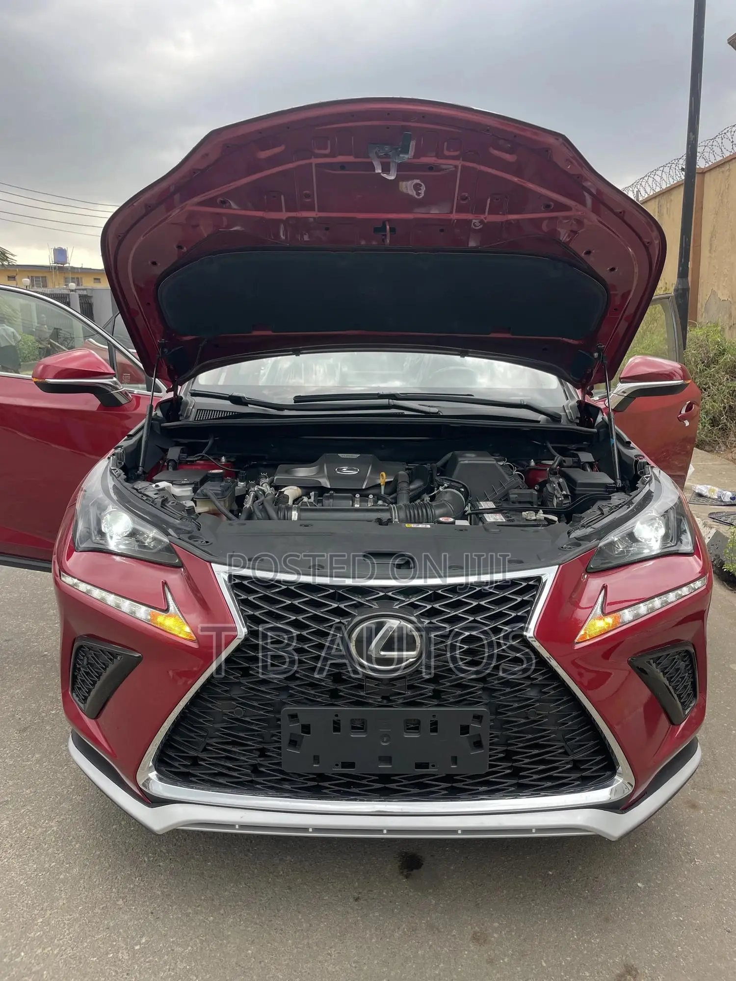 Lexus NX 300 AWD 2020 Red