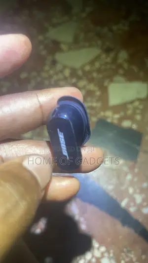 Bose Quiet Comfort Earbuds 2