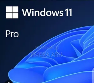 Windows 11 Pro and Home US Installed