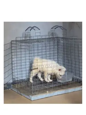 Photo - Non Collapsible Small Dog Cage