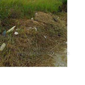 500sqm Land for Sale at Abacha Estate Old Ikoyi Lagos