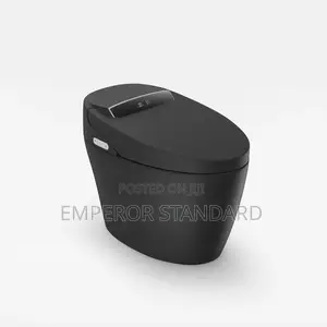Luxury Sensor Automatic Flushing Smart Wc Bidet Toilet Black
