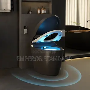 Executive England Sensor Smart Water Closet Toilet Wc