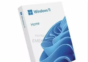 Windows 11 Pro and Home US Installed