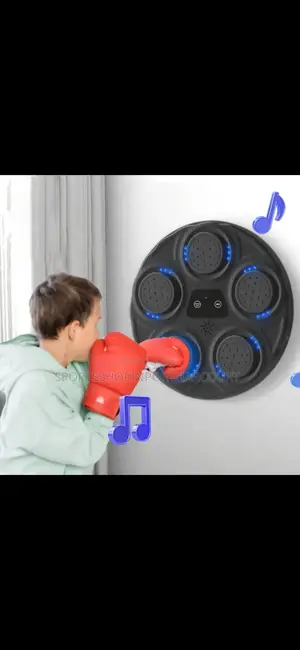 Music Boxing Target Board