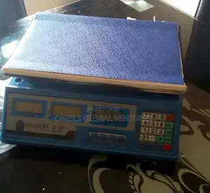 Scale 30kg Industrial