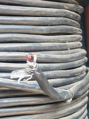 2.5mm 2 Core Armour Cable