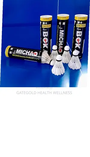 Badminton Shuttle Cork (Feather) 6pcs/Bottle Bk500 Bk500