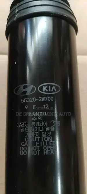 Rear Shock for Hyundai Santa Fe
