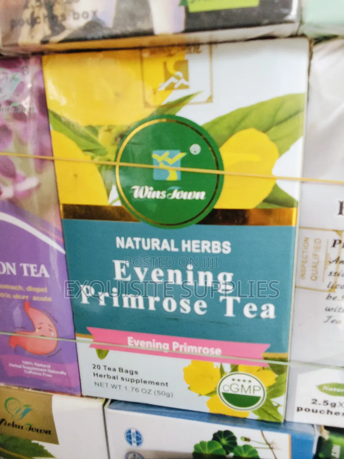 Winstown Evening Prime Rose