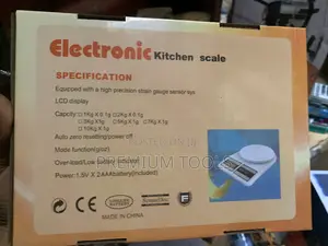 Digital Electronic Scale