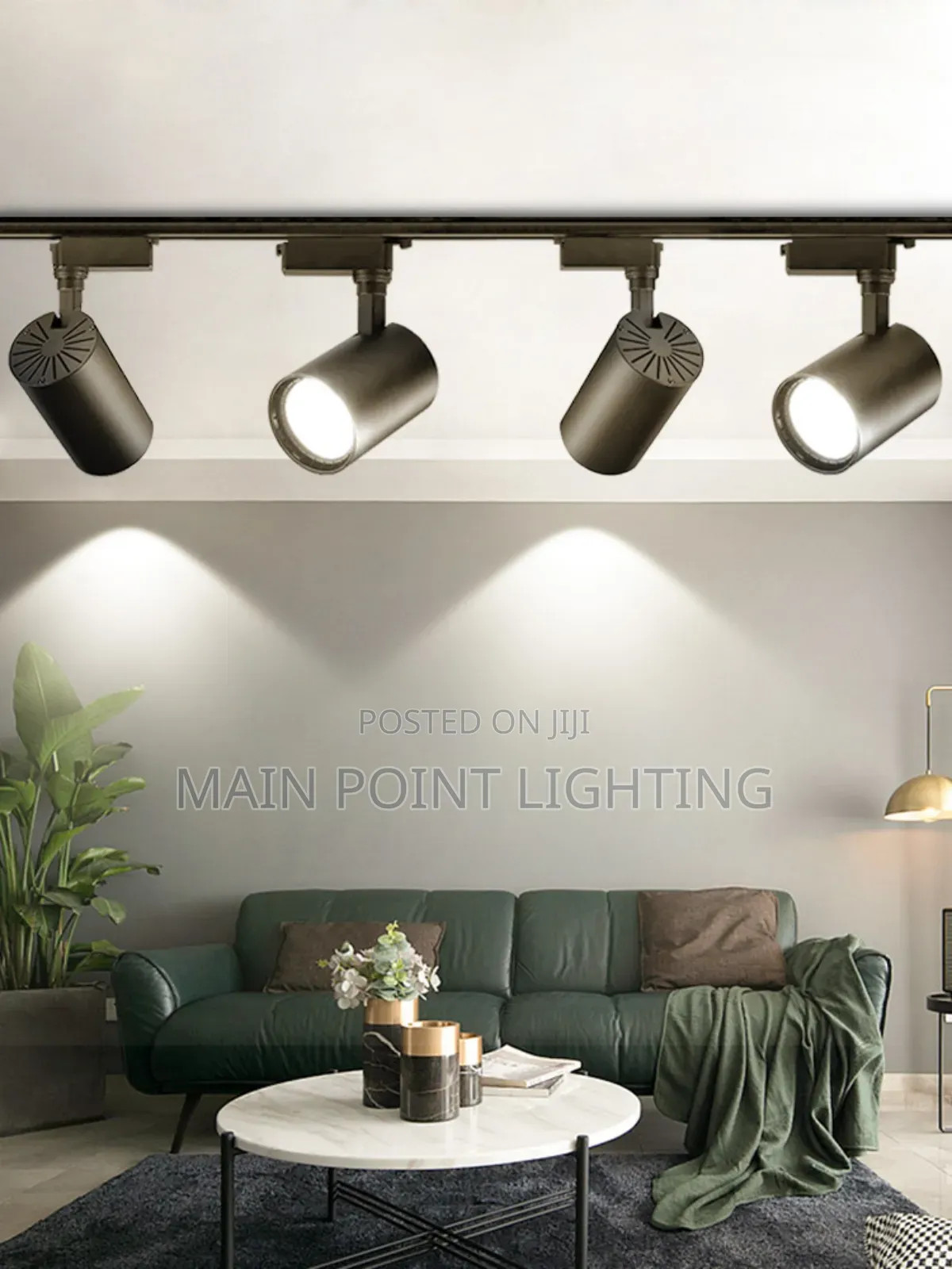 Track Light
