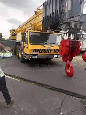 Photo - 250 Tons Grove Motor Crane for Sale