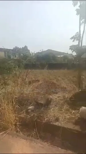 For Sale: 1200 SQMTS at WTC Estate, Enugu