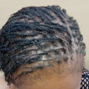 Mobile Service For Natural Dreadlocs Training