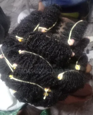 Mobile Service For Natural Dreadlocs Training