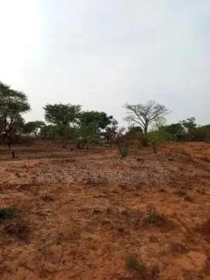Large Plots for Sale at Duke Court Layout Abor at 6m a Plot