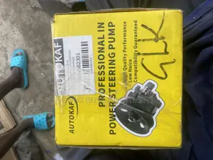 Powerr Steering Pump 10 Bolt