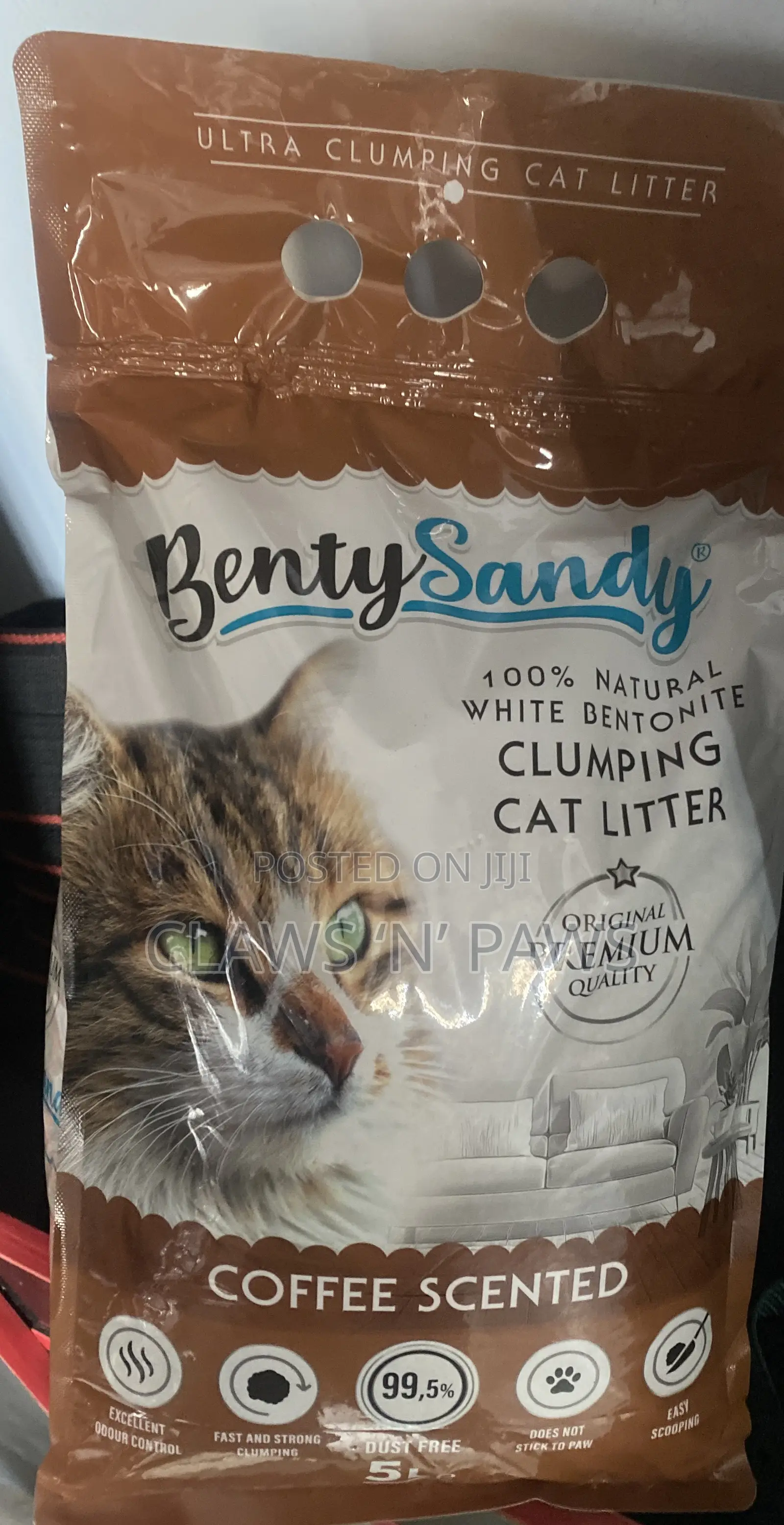 Cat Litter Sand