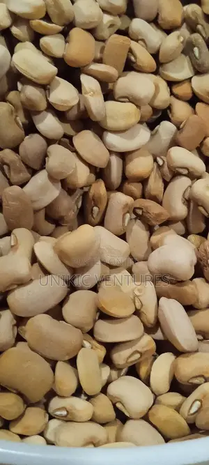 Original Oloyin Beans